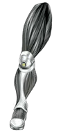 Cybernetic Leg