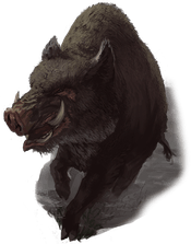 Giant Boar | Kryx RPG