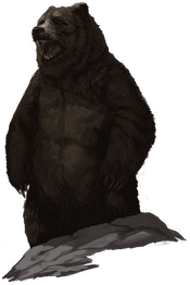 Cave Bear | Kryx RPG