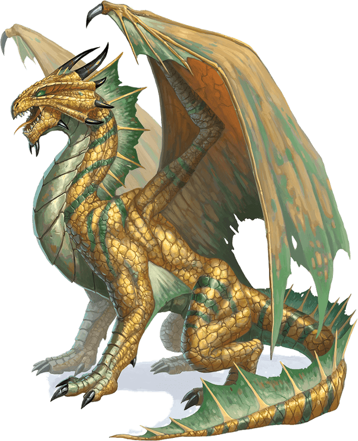 Young Bronze Dragon | Kryx RPG